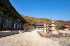 보림사(장흥) (2026) - 전남광주통합특별시 장흥군 가볼만한곳 - 관광지랭킹