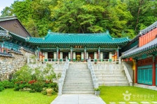 동학사(공주) 관광 정보와 주변 관광 명소 및 근처 맛집 여행 정보