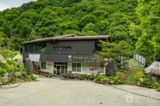 지리산 천년송 (2026) - 전북특별자치도 남원시 가볼만한곳 - 관광지랭킹
