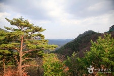 Baegamsan Mountain (백암산) - 관광지랭킹