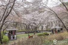 연희숲속쉼터 (2026) - 서울특별시 서대문구 가볼만한곳 - 관광지랭킹