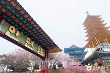 안면암(태안) (2026) - 충청남도 태안군 가볼만한곳 - 관광지랭킹
