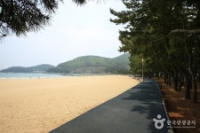 상주은모래비치 - 캠프위크