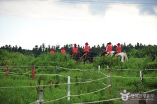 오케이 승마장 - 제주특별자치도 서귀포시 - 가볼만한곳 - 관광지랭킹