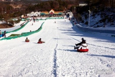 천안상록가족호텔