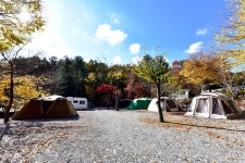 유명산힐링캠프 - 경기도 가평군 - 가볼만한곳 - 관광지랭킹