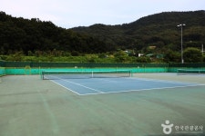 Naver 搜索结果照片 5
