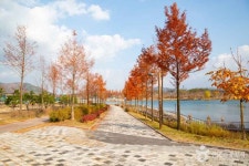 Sejong Lake Park (세종호수공원 일원) - Sightseeing - Korea travel and tourism information