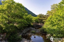 월악산국립공원 닷돈재야영장 (2026) - 충청북도 제천시 가볼만한곳 - 관광지랭킹