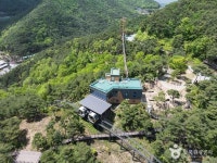 네이버 검색 결과 사진 1
