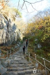 Фото из результатов поиска Naver 5