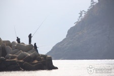 방죽포해변 - 캠프위크