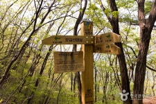 산, 운길산 - 캠프위크