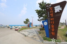 장사항 - 강원특별자치도 속초시 - 가볼만한곳 - 관광지랭킹