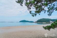 Naver 搜索结果照片 1