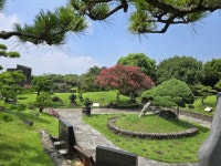 방림원 (2026) - 제주특별자치도 제주시 가볼만한곳 - 관광지랭킹