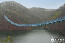 초평호 미르309 출렁다리 관광 정보와 주변 관광 명소 및 근처 맛집 여행 정보
