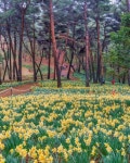 [서산 아라메길] 천년미소길 (2026) - 충청남도 서산시 가볼만한곳 - 관광지랭킹