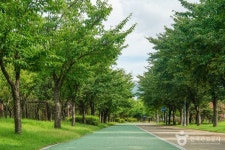 남매지 (2026) - 경상북도 경산시 가볼만한곳 - 관광지랭킹