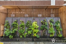 Фото из результатов поиска Naver 3