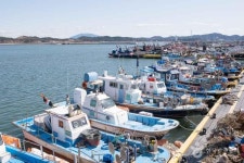 Seongsu Seoulsup Pharmacy [Tax Refund Shop](성수서울숲약국) - Korea Tour Ranking