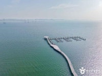 거북섬 관광 정보와 주변 관광 명소 및 근처 맛집 여행 정보
