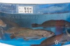 Naver 搜索结果照片 4