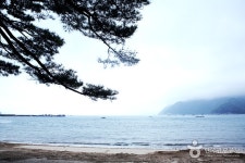 명사해수욕장 - 캠프위크