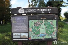 정부대전청사 자연마당 관광 정보와 주변 관광 명소 및 근처 맛집 여행 정보