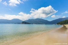 NAVER検索結果の写真 2