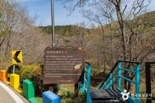 삼신할미약수터 (2026) - 인천광역시 옹진군 가볼만한곳 - 관광지랭킹