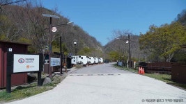 Foto aus Naver-Suchergebnissen 2
