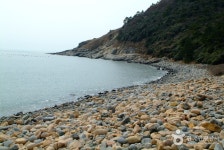 추자도 참굴비대축제 2019 - 제주특별자치도 제주시 - 가볼만한곳 - 관광지랭킹