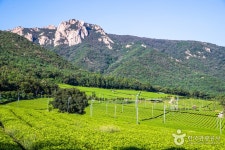 청휴 초연재(초연재) - 전라남도 강진군 - 가볼만한곳 - 관광지랭킹