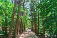 내변산 - 전북특별자치도 부안군 - 가볼만한곳 - 관광지랭킹