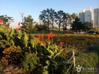 용궁석쇠구이 음식점 정보와 주변 관광 명소 및 근처 맛집 여행 정보