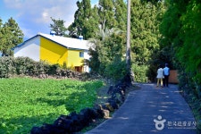 낭만농장 귤밭76번지 (2026) - 제주특별자치도 서귀포시 - 가볼만한곳 - 관광지랭킹