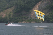 돌고래수상리조트 - 경기도 가평군 - 가볼만한곳 - 관광지랭킹