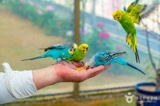 나눔농장(부천) 관광 정보와 주변 관광 명소 및 근처 맛집 여행 정보