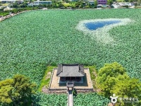 유등연지 (2026) - 경상북도 청도군 가볼만한곳 - 관광지랭킹