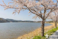 화진포역사안보전시관 (2026) - 강원특별자치도 고성군 가볼만한곳 - 관광지랭킹