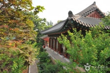 호텔캣츠 - 경기도 수원시 팔달구 - 가볼만한곳 - 관광지랭킹