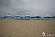 도구해수욕장 - 경상북도 포항시 남구 - 가볼만한곳 - 관광지랭킹