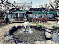 덕화배꽃마을 (2026) - 경기도 남양주시 - 가볼만한곳 - 관광지랭킹