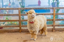 나눔농장(부천) 관광 정보와 주변 관광 명소 및 근처 맛집 여행 정보