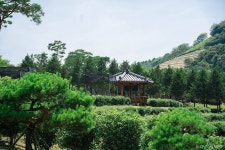 봇재 (2026) - 전남광주통합특별시 보성군 가볼만한곳 - 관광지랭킹
