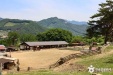 해피초원목장 관광 정보와 주변 관광 명소 및 근처 맛집 여행 정보