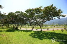 산천재 남명매 - 경상남도 산청군 - 가볼만한곳 - 관광지랭킹