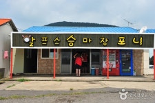 알프스승마장 포니 - 제주특별자치도 서귀포시 - 가볼만한곳 - 관광지랭킹