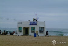 칠포해수욕장 - 캠프위크